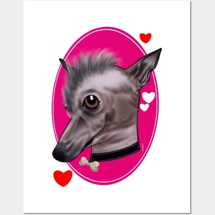 Chinese crested Posters and Art